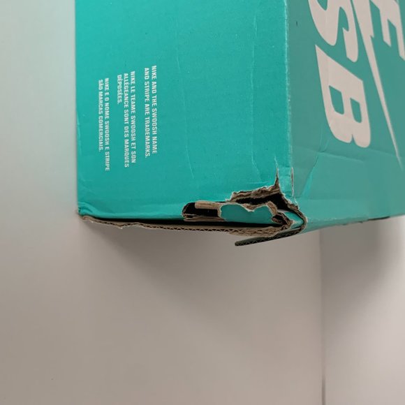 Nike SB Youth Canvas "Have a Nike Day" Sneakers - Picture 14 of 15